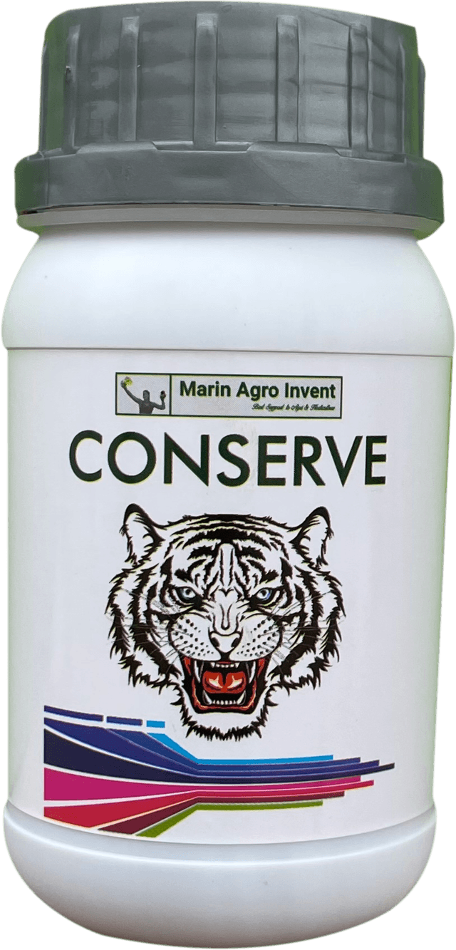 Conserve