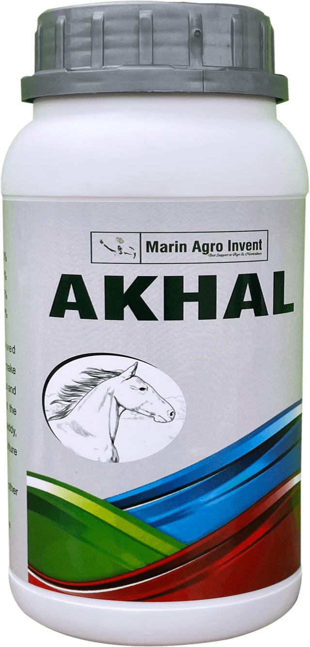 Akhal