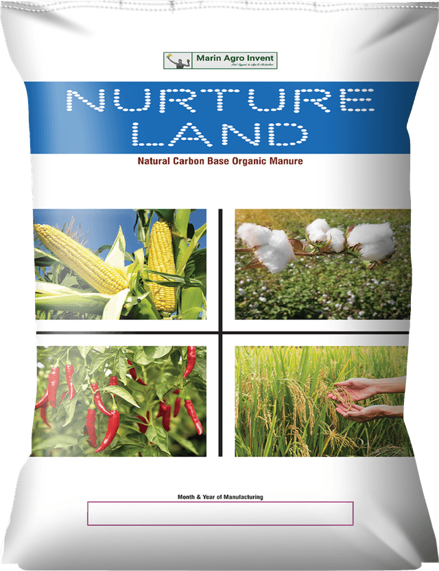 Nurture Land