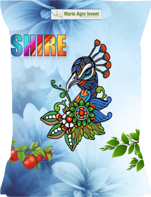 Shire