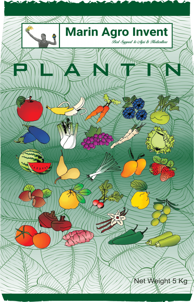 Plantin