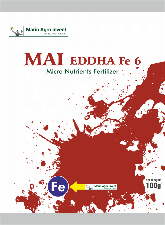 Mai Eddha
