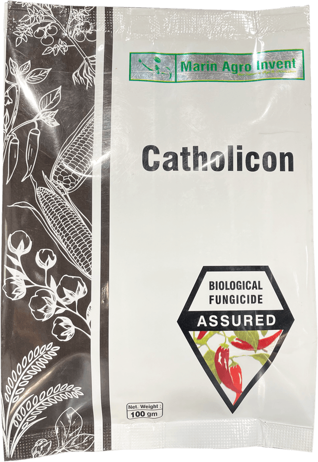 Cathalicon