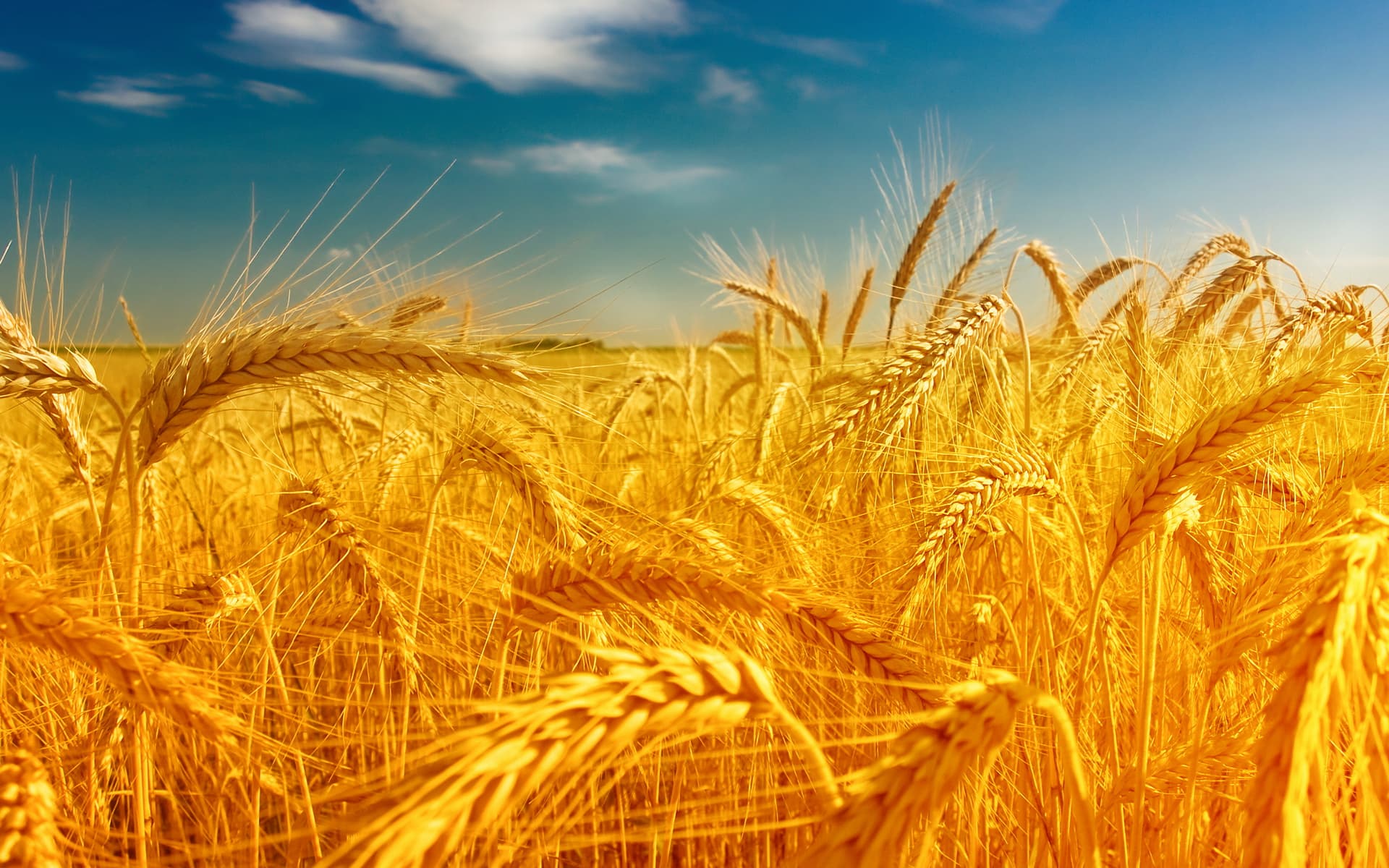 Water Soluble Complex Fertilizers background