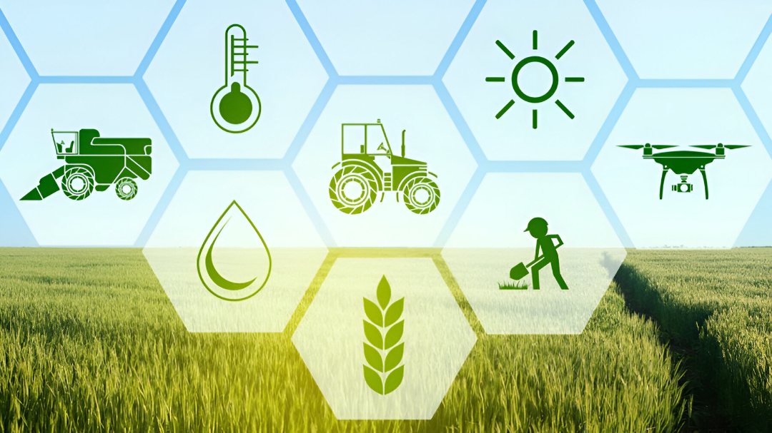 Marin Agro Invent Facilities